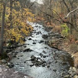 West Branch of the Chester Creek Feasibility Study Meeting Scheduled
