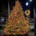 Annual Christmas Tree Lighting & Winter Fun Festival!